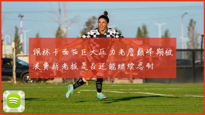 佩林卡面临巨大压力老詹巅峰期被浪费新老板是否还能继续忍耐