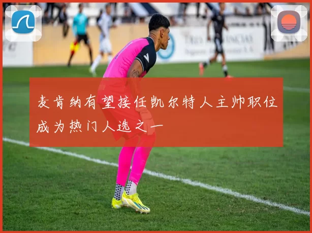 麦肯纳有望接任凯尔特人主帅职位成为热门人选之一