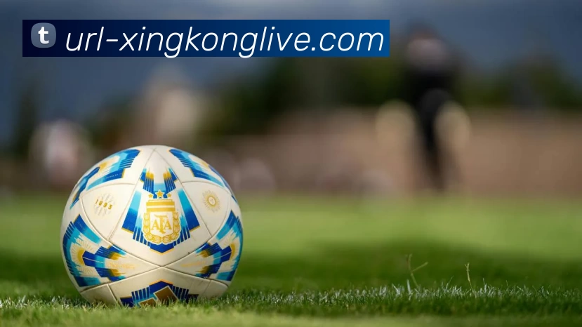 星空体育平台生态图